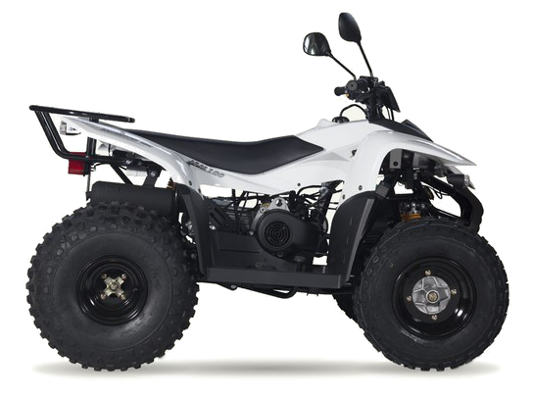 Фото квадроцикла Baltmotors Jam 100