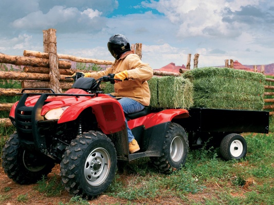 Фото квадроцикла Honda TRX420FA